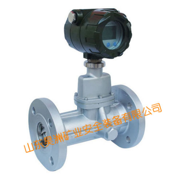 氣體旋進(jìn)旋渦流量計(jì)